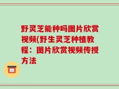 野灵芝能种吗图片欣赏视频(野生灵芝种植教程：图片欣赏视频传授方法