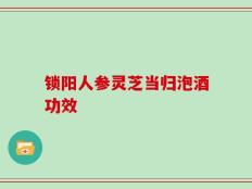 锁阳人参灵芝当归泡酒功效