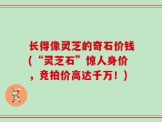 长得像灵芝的奇石价钱(“灵芝石”惊人身价，竞拍价高达千万！)