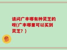 请问广丰哪有种灵芝的呀(广丰哪里可以买到灵芝？)