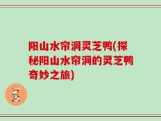 阳山水帘洞灵芝鸭(探秘阳山水帘洞的灵芝鸭奇妙之旅)