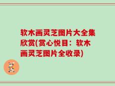 软木画灵芝图片大全集欣赏(赏心悦目：软木画灵芝图片全收录)