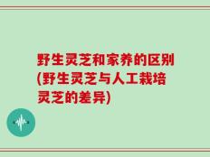 野生灵芝和家养的区别(野生灵芝与人工栽培灵芝的差异)
