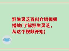 野生灵芝百科介绍视频播放(了解野生灵芝，从这个视频开始)