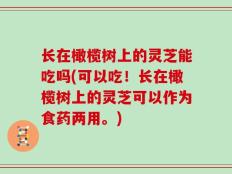 长在橄榄树上的灵芝能吃吗(可以吃！长在橄榄树上的灵芝可以作为食药两用。)