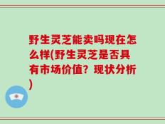 野生灵芝能卖吗现在怎么样(野生灵芝是否具有市场价值？现状分析)