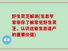 野生灵芝解说(生态学家带你了解常见野生灵芝，认识这些生态遗产的重要价值)