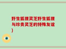 野生狐狸灵芝野生狐狸与珍贵灵芝的特殊友谊)