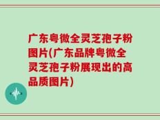 广东粤微全灵芝孢子粉图片(广东品牌粤微全灵芝孢子粉展现出的高品质图片)