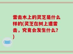 雷击木上的灵芝是什么样的(灵芝在树上遭雷击，究竟会发生什么？)