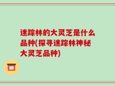 迷踪林的大灵芝是什么品种(探寻迷踪林神秘大灵芝品种)
