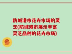 防城港市花卉市场的灵芝(防城港市展示丰富灵芝品种的花卉市场)