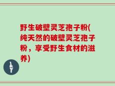 野生破壁灵芝孢子粉(纯天然的破壁灵芝孢子粉，享受野生食材的滋养)