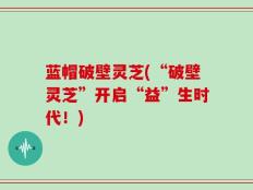 蓝帽破壁灵芝(“破壁灵芝”开启“益”生时代！)