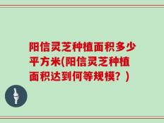 阳信灵芝种植面积多少平方米(阳信灵芝种植面积达到何等规模？)