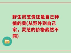 野生灵芝贵还是自己种植的贵(从野外到自己家，灵芝的价格截然不同)