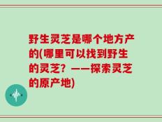 野生灵芝是哪个地方产的(哪里可以找到野生的灵芝？——探索灵芝的原产地)