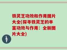 铁灵芝功效和作用图片大全(探寻铁灵芝的丰富功效与作用：全新图片大全)