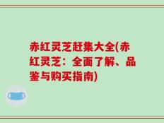 赤红灵芝赶集大全(赤红灵芝：全面了解、品鉴与购买指南)