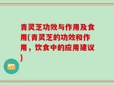 青灵芝功效与作用及食用(青灵芝的功效和作用，饮食中的应用建议)