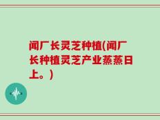 闻厂长灵芝种植(闻厂长种植灵芝产业蒸蒸日上。)