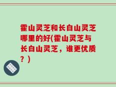 霍山灵芝和长白山灵芝哪里的好(霍山灵芝与长白山灵芝，谁更优质？)