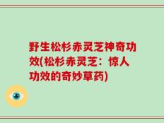 野生松杉赤灵芝神奇功效(松杉赤灵芝：惊人功效的奇妙草药)