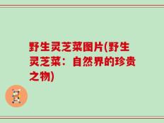 野生灵芝菜图片(野生灵芝菜：自然界的珍贵之物)