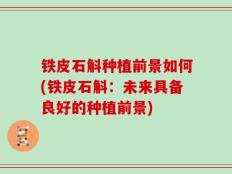 铁皮石斛种植前景如何(铁皮石斛：未来具备良好的种植前景)