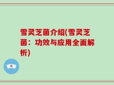 雪灵芝菌介绍(雪灵芝菌：功效与应用全面解析)