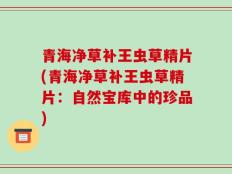 青海净草补王虫草精片(青海净草补王虫草精片：自然宝库中的珍品)