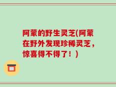 阿蒙的野生灵芝(阿蒙在野外发现珍稀灵芝，惊喜得不得了！)
