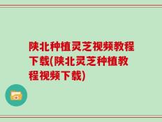 陕北种植灵芝视频教程下载(陕北灵芝种植教程视频下载)
