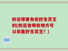 附近哪里有收野生灵芝的(附近有哪些地方可以采集野生灵芝？)