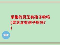 采集的灵芝有孢子粉吗(灵芝含有孢子粉吗？)
