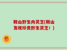 鞍山野生肉灵芝(鞍山发现珍贵野生灵芝！)
