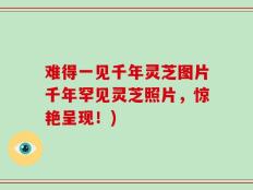 难得一见千年灵芝图片千年罕见灵芝照片，惊艳呈现！)