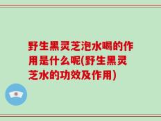 野生黑灵芝泡水喝的作用是什么呢(野生黑灵芝水的功效及作用)