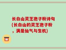 长白山灵芝孢子粉诗句(长白山的灵芝孢子粉，满是仙气与生机)