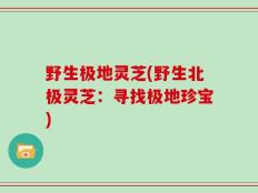野生极地灵芝(野生北极灵芝：寻找极地珍宝)