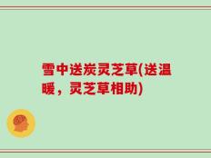 雪中送炭灵芝草(送温暖，灵芝草相助)