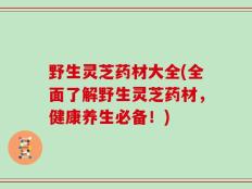 野生灵芝药材大全(全面了解野生灵芝药材，健康养生必备！)