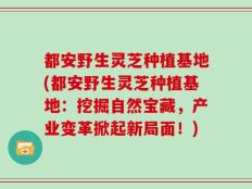 都安野生灵芝种植基地(都安野生灵芝种植基地：挖掘自然宝藏，产业变革掀起新局面！)