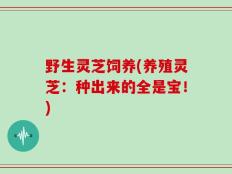 野生灵芝饲养(养殖灵芝：种出来的全是宝！)