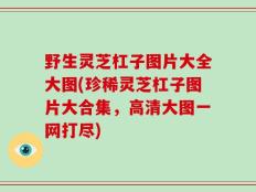 野生灵芝杠子图片大全大图(珍稀灵芝杠子图片大合集，高清大图一网打尽)