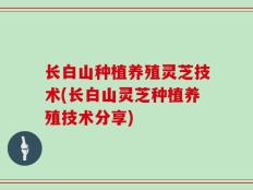 长白山种植养殖灵芝技术(长白山灵芝种植养殖技术分享)
