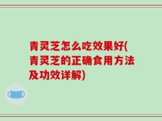 青灵芝怎么吃效果好(青灵芝的正确食用方法及功效详解)