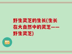 野生灵芝的生长(生长在大自然中的灵芝——野生灵芝)