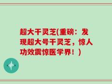 超大干灵芝(重磅：发现超大号干灵芝，惊人功效震惊医学界！)