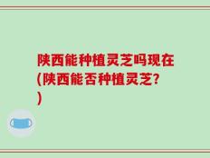 陕西能种植灵芝吗现在(陕西能否种植灵芝？)